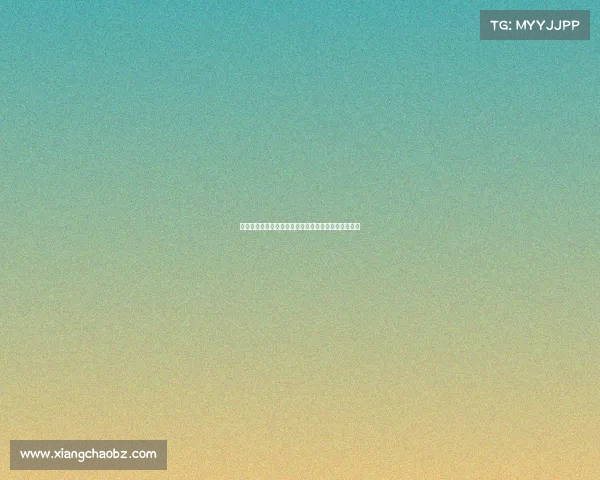 法甲技术总监解析未来发展方向与青训体系建设新机遇