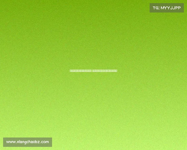 济南公交开设京鲁大战球迷专线 陈永发布详细出行信息助力中超联赛