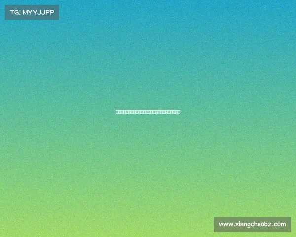 老鹰球的飞翔与力量探索：从起源到现代战术的演变与影响